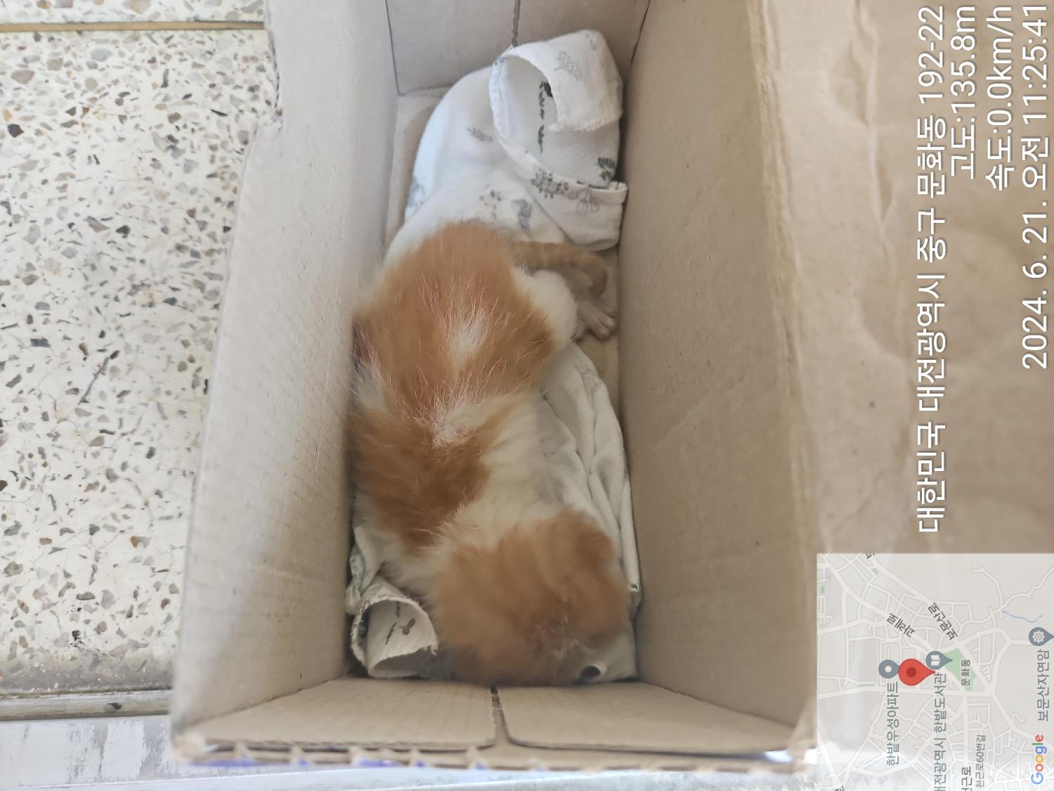 종료(자연사) 한국…